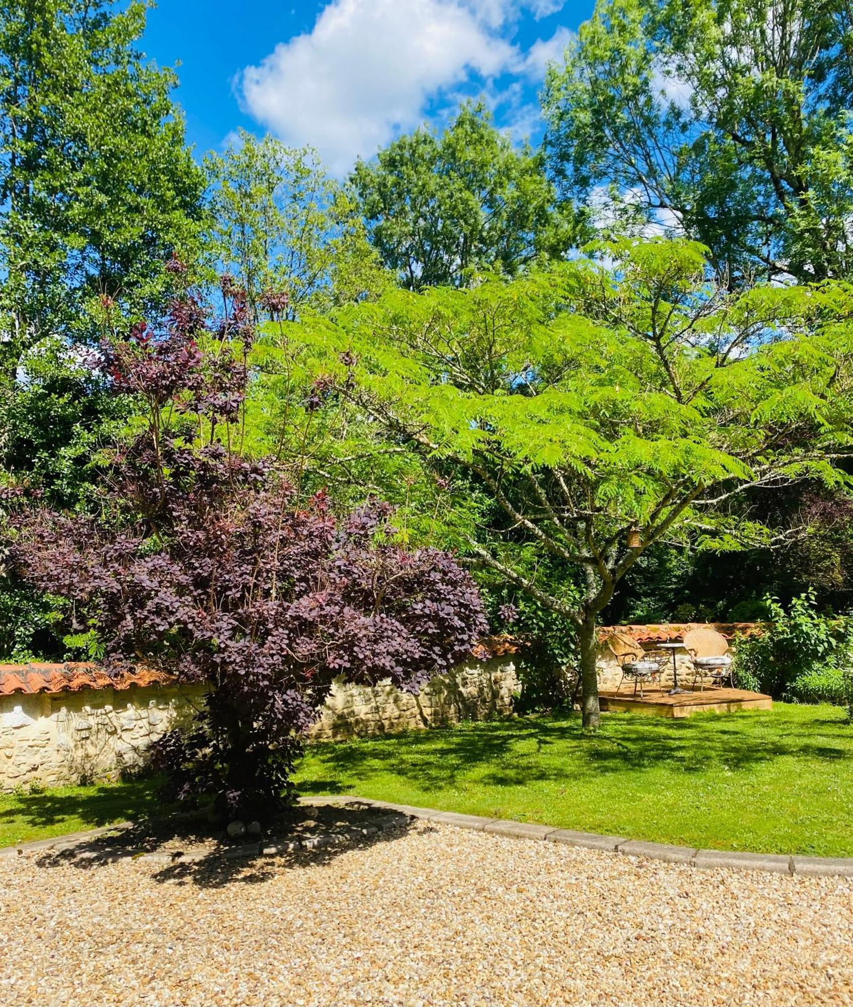 Chasseneuil-sur-Bonnieure Moulin Du Fontcourt Bed & Breakfast エクステリア 写真