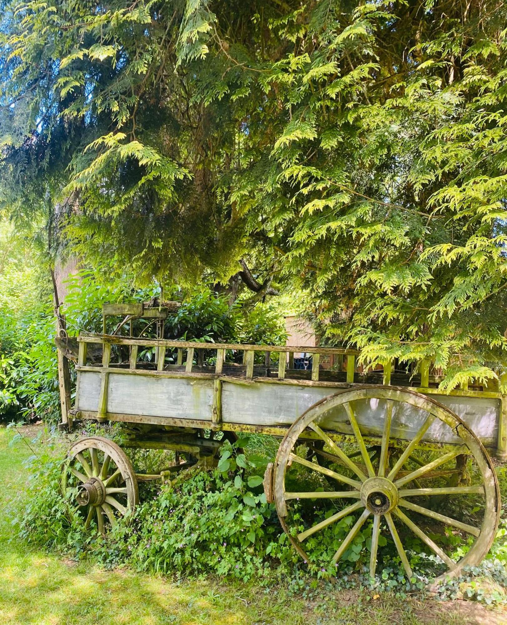 Chasseneuil-sur-Bonnieure Moulin Du Fontcourt Bed & Breakfast エクステリア 写真