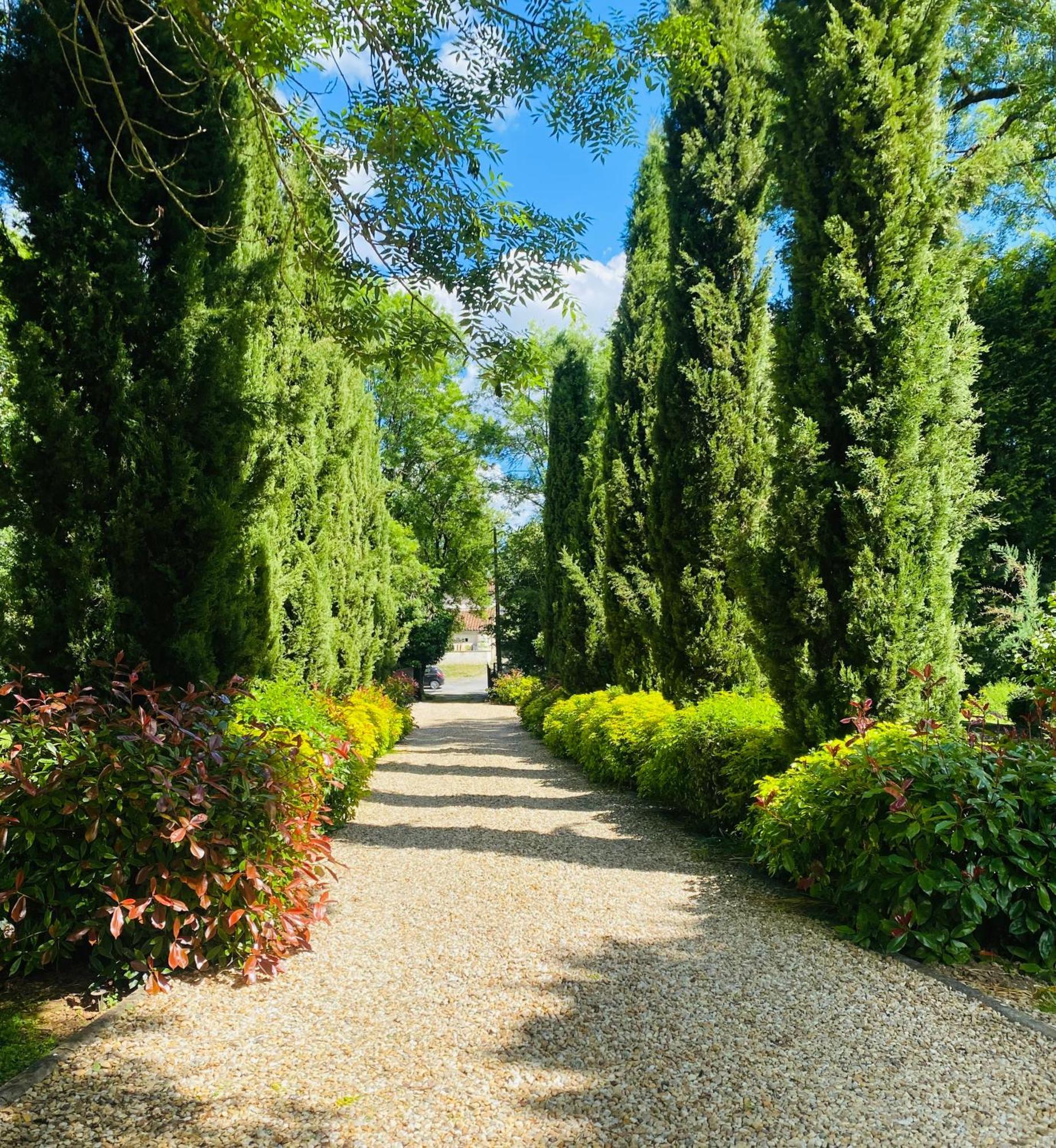 Chasseneuil-sur-Bonnieure Moulin Du Fontcourt Bed & Breakfast エクステリア 写真