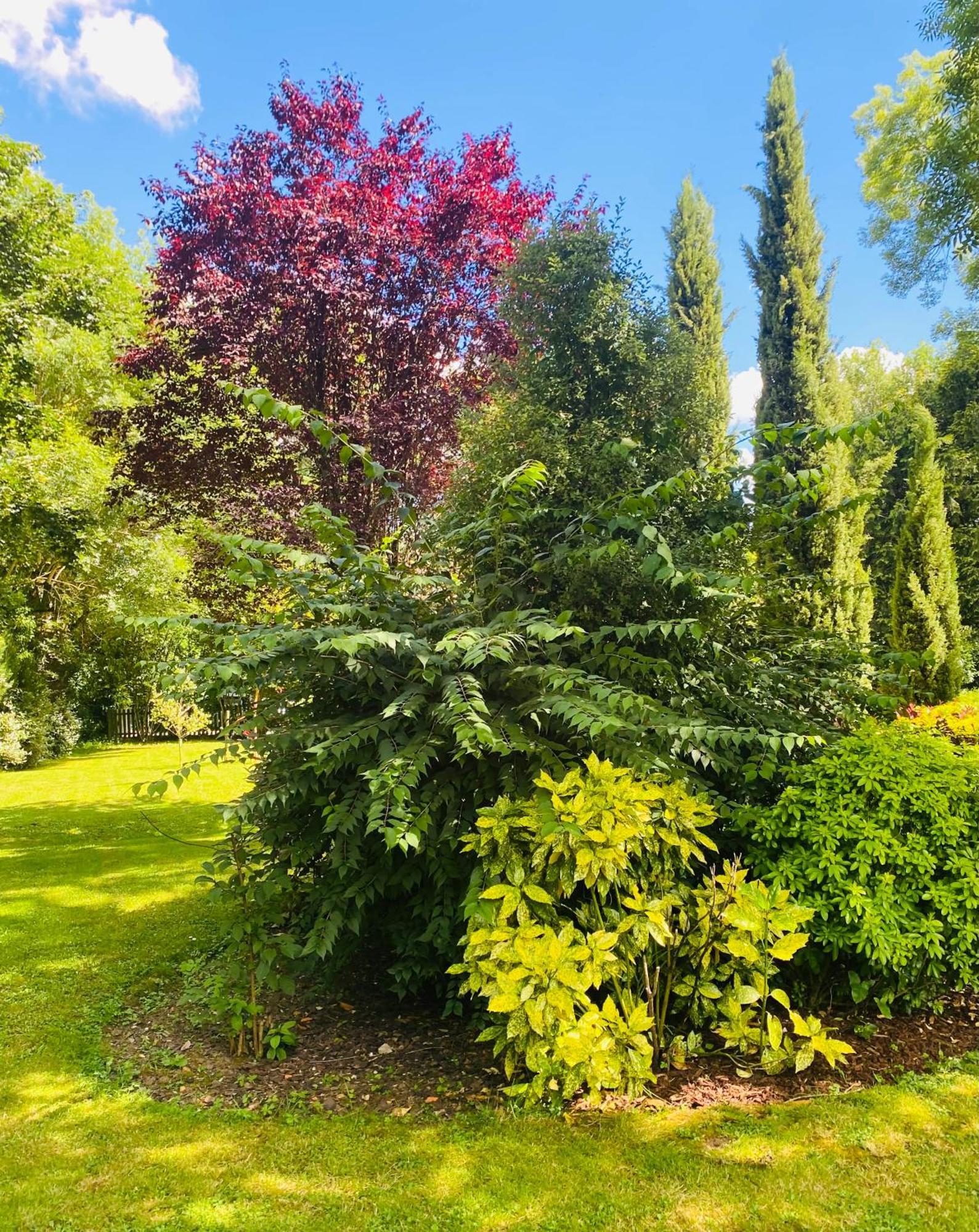 Chasseneuil-sur-Bonnieure Moulin Du Fontcourt Bed & Breakfast エクステリア 写真