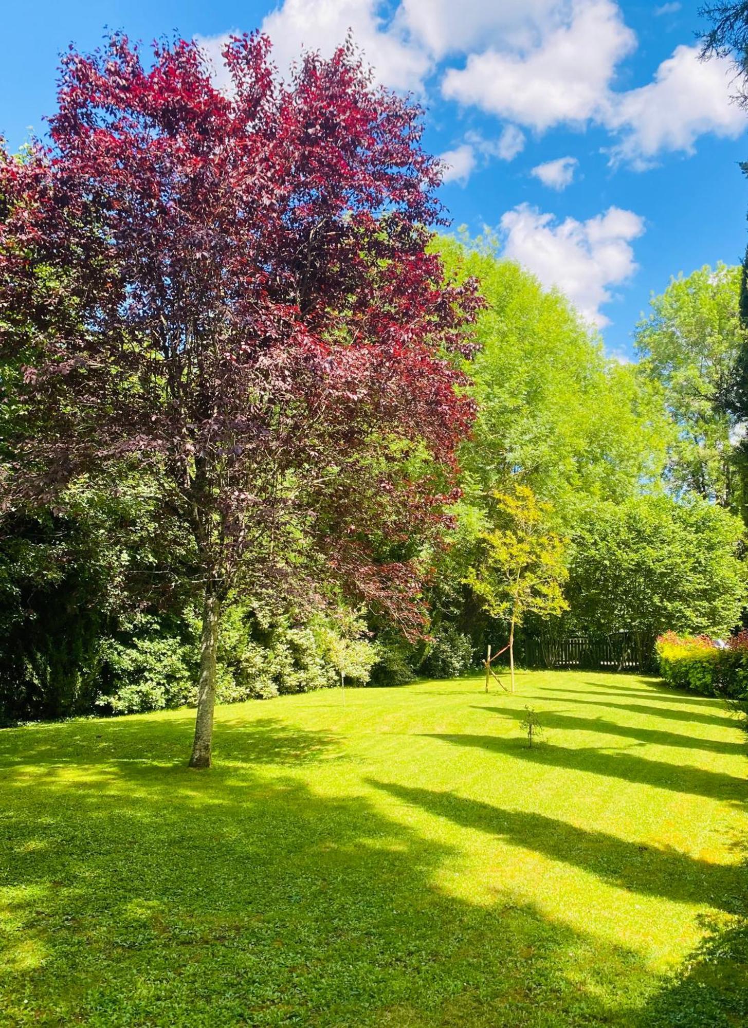 Chasseneuil-sur-Bonnieure Moulin Du Fontcourt Bed & Breakfast エクステリア 写真